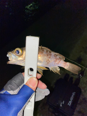 寒さに負けず新規開拓