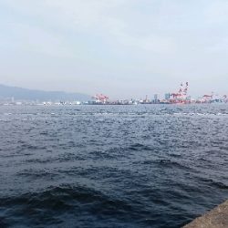 今年の釣り納め