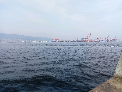 今年の釣り納め