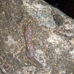 仕事帰りにライトゲーム