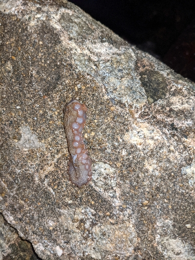 仕事帰りにライトゲーム