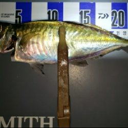 強風の中で釣り