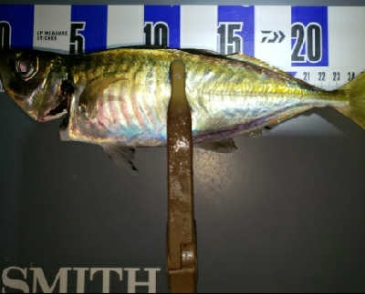 強風の中で釣り