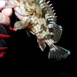 タイミング悪。