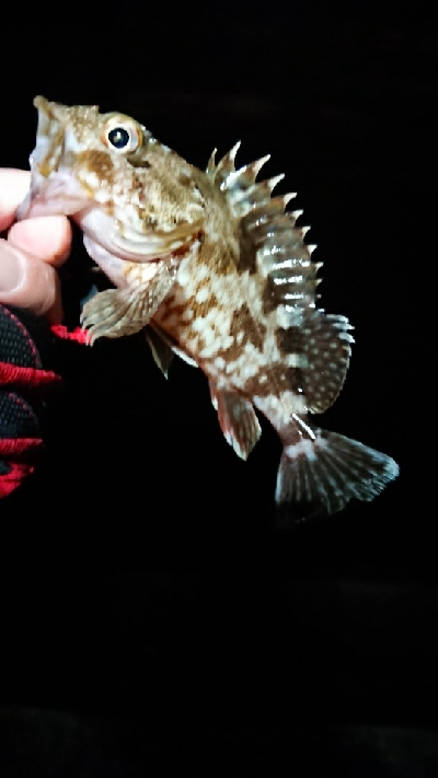 タイミング悪。