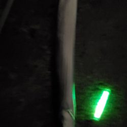 太刀魚はいずこ？