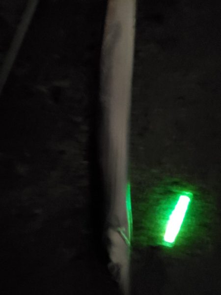 太刀魚はいずこ？