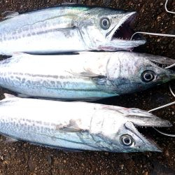 会社の友達と3人で