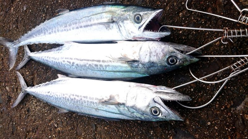 会社の友達と3人で