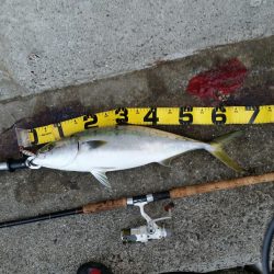 早朝プチsalt water game