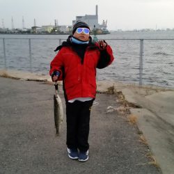 親子サビキ釣り