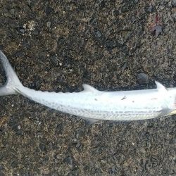 荒天の日はここ！！