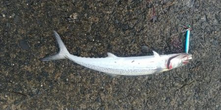 荒天の日はここ！！