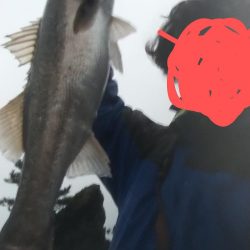 鱸を狙って狙い通り!!
