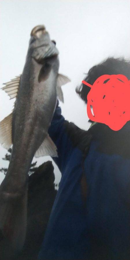 鱸を狙って狙い通り!!