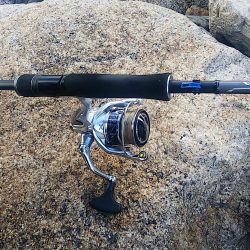 フラット狙いに行きました。