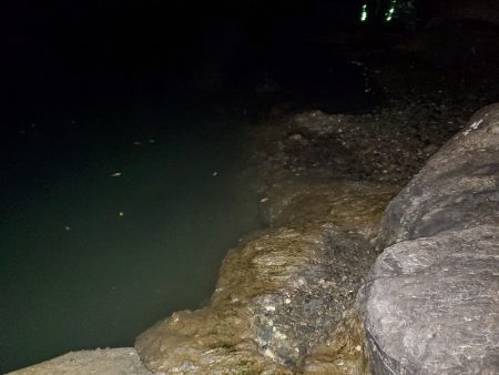 何でも釣れるやつ