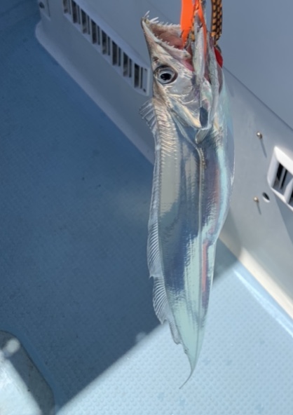 晴天のタイラバ釣行