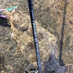 ヒラメ好調の噂を聞き…