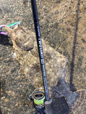 ヒラメ好調の噂を聞き…