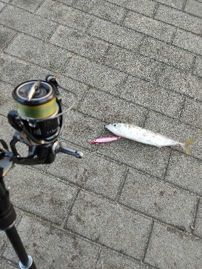 釣り納めかな。