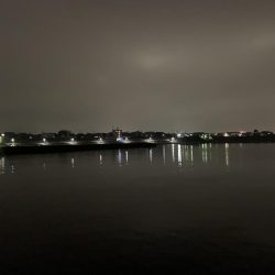 癒しのガッシー