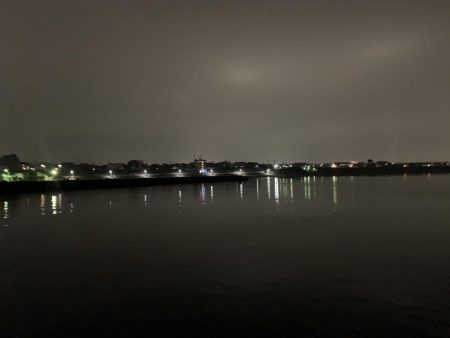 癒しのガッシー