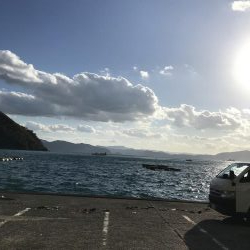 ラスト！大型肝パンまた来年！