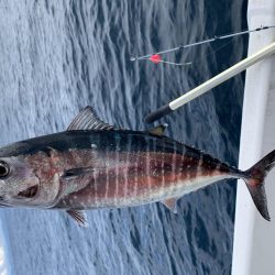 今年最後かもしれないマイボート釣行