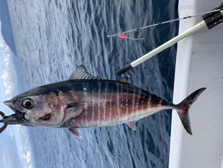 今年最後かもしれないマイボート釣行