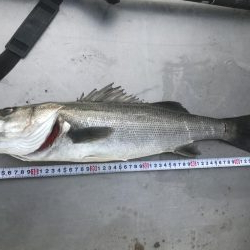 えー釣り納めになりました^_^