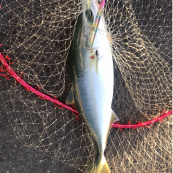 ジクパラバイブマキマキ