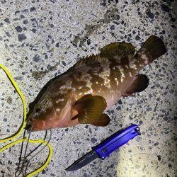 ア、ジギング？