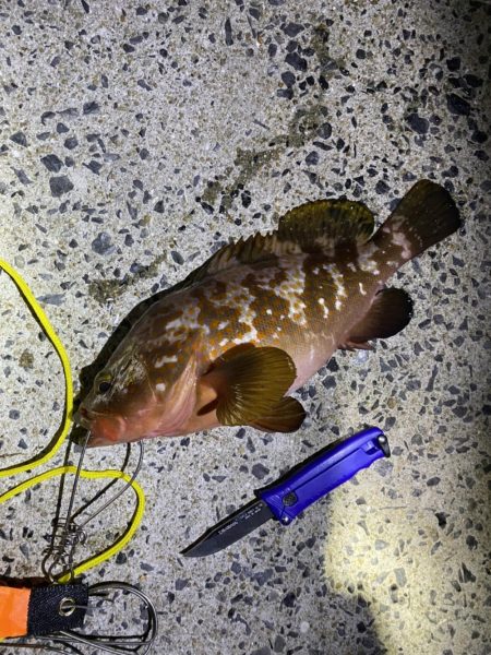 ア、ジギング？