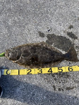 まさかのリッチな外道