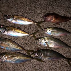 師匠と同じことをしているつもりが・・・