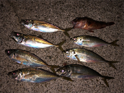 師匠と同じことをしているつもりが・・・