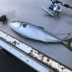 初めて納得のサイズ