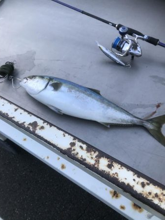 初めて納得のサイズ