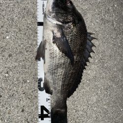 イチノ兄弟、釣果！