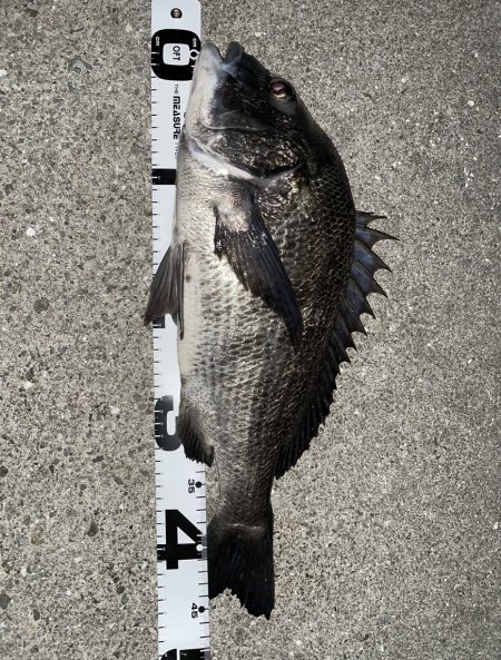 イチノ兄弟、釣果！