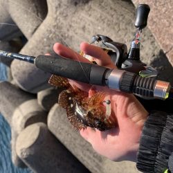 相変わらずの…