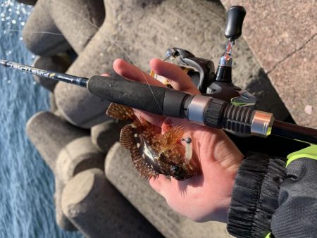 相変わらずの…