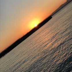 初めての南芦屋浜東岸で青物狙い！