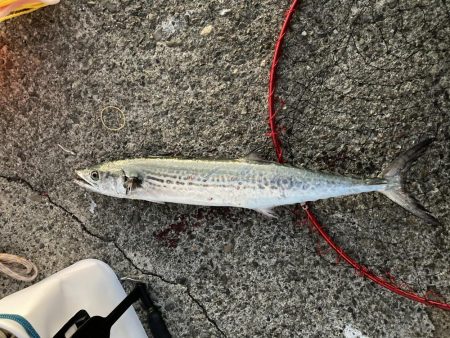 いいロケーション