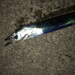 アジングの後で