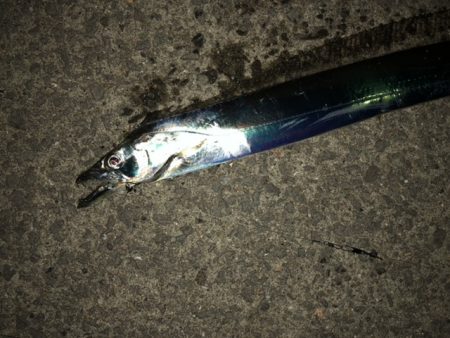 アジングの後で