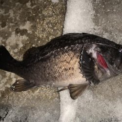 久々の釣りは、、、