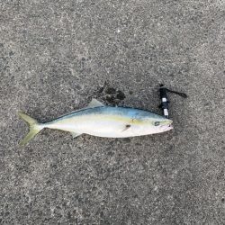 水面の魔術師！やっぱりトップはやめられない！