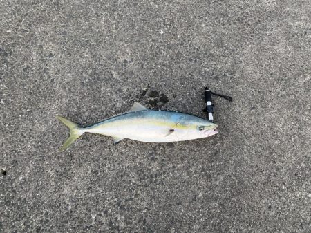 水面の魔術師！やっぱりトップはやめられない！